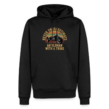 Motortrike Three Wheeled Motorcycle Triker - Männer Premium Bio Hoodie - Schwarz - Vorne - Nico (187cm)