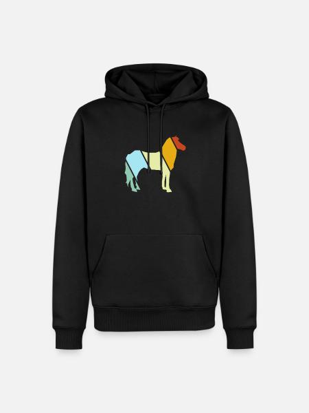 Cheval Rétro - Sweat à capuche Premium bio Homme - noir