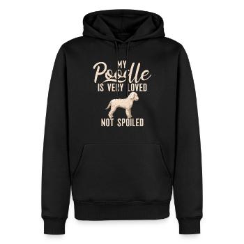 Poodle Gifts - Männer Premium Bio Hoodie - Schwarz - Vorne - Nico (187cm)