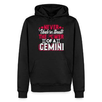 Gemini Never Underestimate The Power Of A Gemini - Men’s Premium Organic Hoodie - black - Front - Nico (187cm)