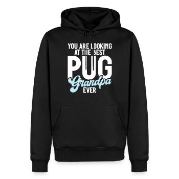 Pug Gifts for Pug Lovers - Men’s Premium Organic Hoodie - black - Front - Nico (187cm)