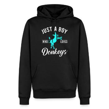 Donkey Lover Gifts - Männer Premium Bio Hoodie - Schwarz - Vorne - Nico (187cm)