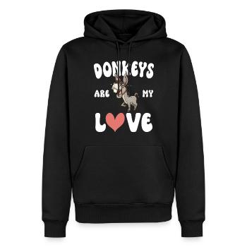Cadeaux d’amoureux de l’âne - Sweat à capuche Premium bio Homme - noir - Devant - Nico (187cm)