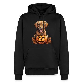 Labrador Retriever Hund Kürbis Faules Halloween - Männer Premium Bio Hoodie - Schwarz - Vorne - Nico (187cm)