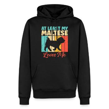 Cadeaux de propriétaire maltais - Sweat à capuche Premium bio Homme - noir - Devant - Nico (187cm)