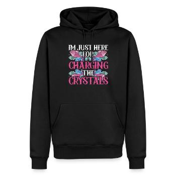 Kristallheiler Kristalle Charging The Crystals - Männer Premium Bio Hoodie - Schwarz - Vorne - Nico (187cm)