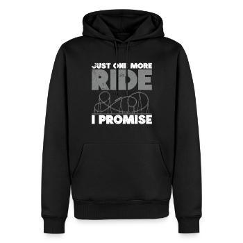 Montagnes russes, parc d’attractions, montagnes russes, manège - Sweat à capuche Premium bio Homme - noir - Devant - Nico (187cm)
