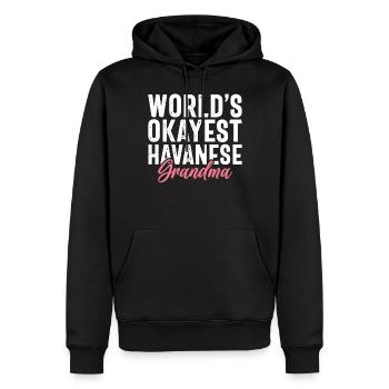 Gifts for Havanese Dog Lovers - Männer Premium Bio Hoodie - Schwarz - Vorne - Nico (187cm)