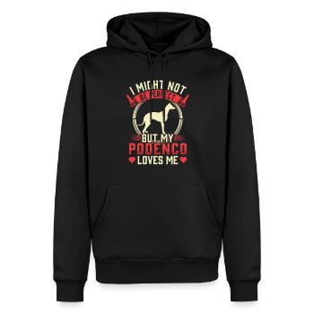 Podenco ist nicht perfekt Ibizan Hound - Männer Premium Bio Hoodie - Schwarz - Vorne - Nico (187cm)