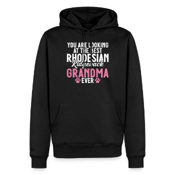 Rhodesian Ridgeback Gifts - Men’s Premium Organic Hoodie - black - Front - Nico (187cm)