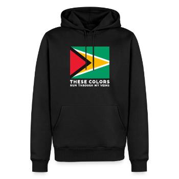 Diese Farben Fließen Durch Meine Adern Design For - Männer Premium Bio Hoodie - Schwarz - Vorne - Nico (187cm)