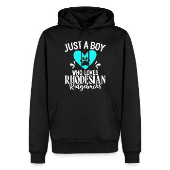 Rhodesian Ridgeback Gifts - Men’s Premium Organic Hoodie - black - Front - Nico (187cm)