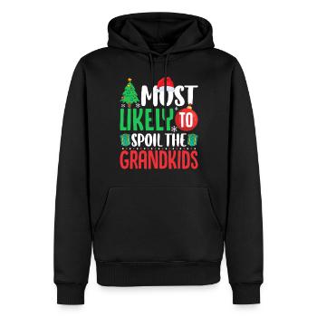 Le plus susceptible de gâter les petits-enfants drôle - Sweat à capuche Premium bio Homme - noir - Devant - Nico (187cm)