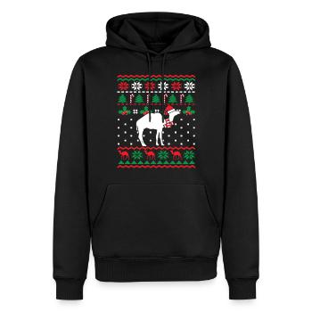 Weihnachtskamel Mit Weihnachtsmütze Wüstentier - Männer Premium Bio Hoodie - Schwarz - Vorne - Nico (187cm)