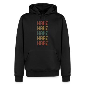 Harz - Männer Premium Bio Hoodie - Schwarz - Vorne - Nico (187cm)