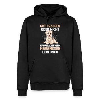 Hund Havaneser - Männer Premium Bio Hoodie - Schwarz - Vorne - Nico (187cm)