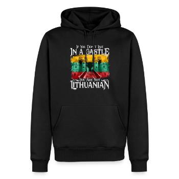 Lituanie Lituanien - Sweat à capuche Premium bio Homme - noir - Devant - Nico (187cm)
