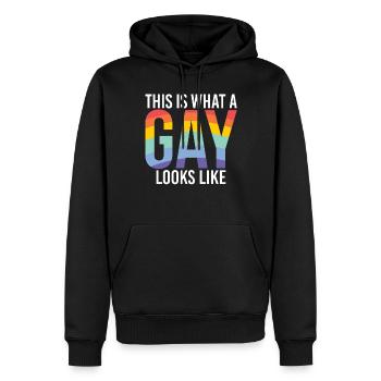 Gay Gifts - Männer Premium Bio Hoodie - Schwarz - Vorne - Nico (187cm)