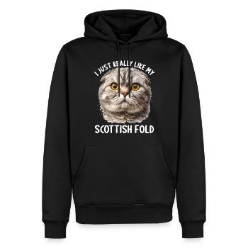 Scottish Fold Kätzchen Scottish Fold Katze - Männer Premium Bio Hoodie - Schwarz - Vorne - Nico (187cm)