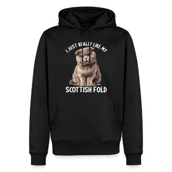Scottish Fold Kätzchen Scottish Fold Katze - Männer Premium Bio Hoodie - Schwarz - Vorne - Nico (187cm)