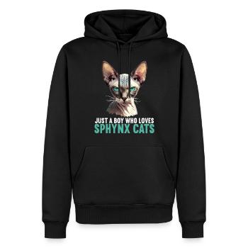 Sphynx Kätzchen Sphynx Katze - Männer Premium Bio Hoodie - Schwarz - Vorne - Nico (187cm)