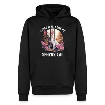 Sphynx Kätzchen Sphynx Katze - Männer Premium Bio Hoodie - Schwarz - Vorne - Nico (187cm)