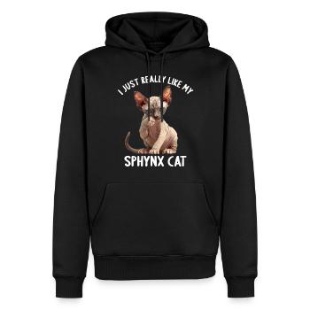 Sphynx Kätzchen Sphynx Katze - Männer Premium Bio Hoodie - Schwarz - Vorne - Nico (187cm)