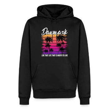 Danmark Rétro - Sweat à capuche Premium bio Homme - noir - Devant - Nico (187cm)