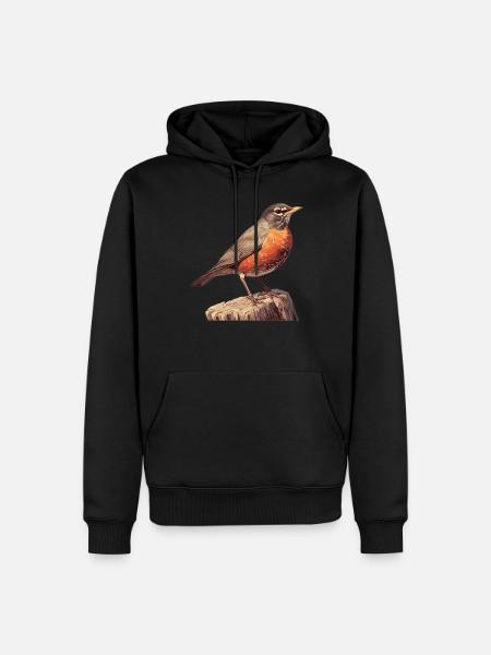 Robin Rotkehlchen - Men’s Premium Organic Hoodie - black