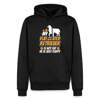 Flat Coated Retriever ist nicht dick - Männer Premium Bio Hoodie - Schwarz - Vorne - Nico (187cm)