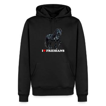 friesian horse - Männer Premium Bio Hoodie - Schwarz - Vorne - Nico (187cm)