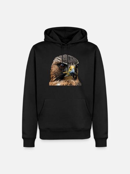 Falcons - Men’s Premium Organic Hoodie - black