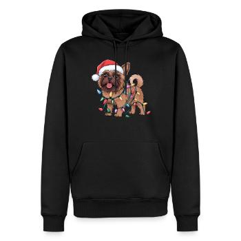 Bruxelles Griffon Noël Lumières Noël Chiens Cadeaux - Sweat à capuche Premium bio Homme - noir - Devant - Nico (187cm)