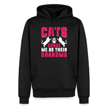 Cadeaux de grand-mère chat - Sweat à capuche Premium bio Homme - noir - Devant - Nico (187cm)