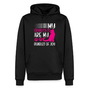 Cadeaux de grand-mère chat - Sweat à capuche Premium bio Homme - noir - Devant - Nico (187cm)