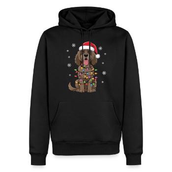 Gordon Setter Lumières de Noël Noël Chiens Cadeaux - Sweat à capuche Premium bio Homme - noir - Devant - Nico (187cm)
