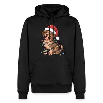 Chesapeake Bay Retriever Noël lumières Noël chien - Sweat à capuche Premium bio Homme - noir - Devant - Nico (187cm)