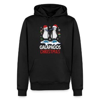 Galapagos Christmas - Männer Premium Bio Hoodie - Schwarz - Vorne - Nico (187cm)