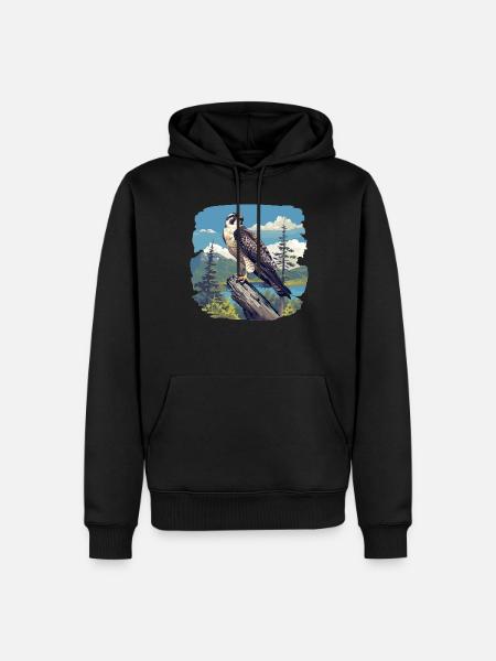 Falcon Falcon - Men’s Premium Organic Hoodie - black