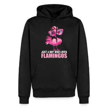 Flamants roses Flamant rose - Sweat à capuche Premium bio Homme - noir - Devant - Nico (187cm)