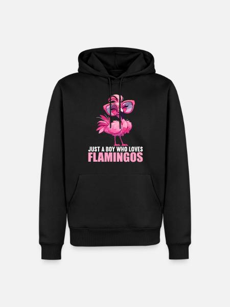 Flamingos Flamingo - Men’s Premium Organic Hoodie - black