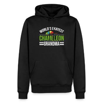 Cadeaux Caméléon - Sweat à capuche Premium bio Homme - noir - Devant - Nico (187cm)