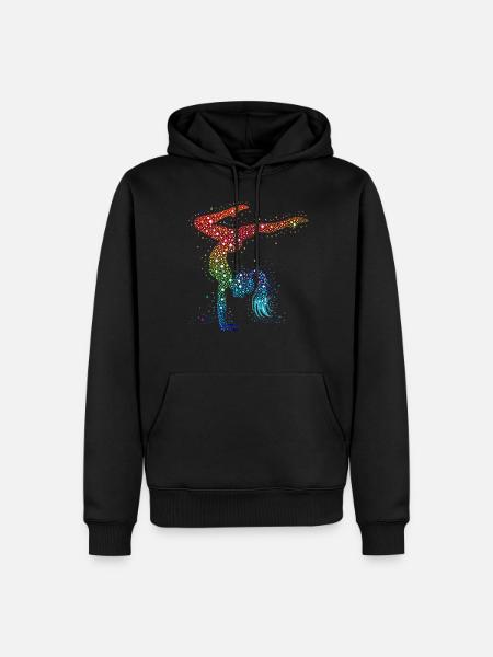 Gymnastique Gymnaste Gymnaste acrobatique - Sweat à capuche Premium bio Homme - noir