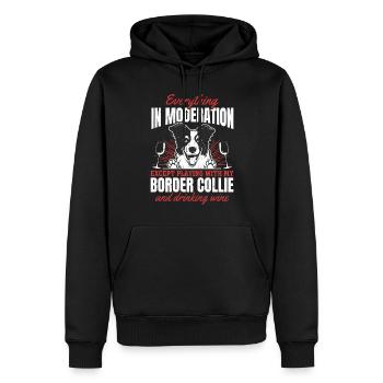 Border Collie Lover Border Collie Dog Lover - Sweat à capuche Premium bio Homme - noir - Devant - Nico (187cm)