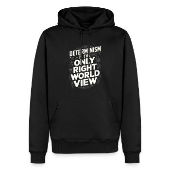 Determinism is the only right world view - Men’s Premium Organic Hoodie - black - Front - Nico (187cm)