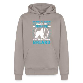 Briard is my friend Berger de Brie - Men’s Premium Organic Hoodie - taupe - Front - Nico (187cm)
