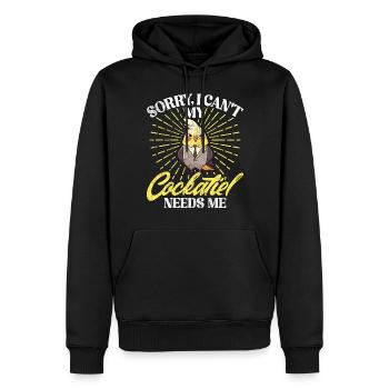 Cadeaux de calopsitte - Sweat à capuche Premium bio Homme - noir - Devant - Nico (187cm)
