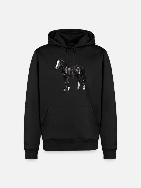 Pferde Pferd - Männer Premium Bio Hoodie - Schwarz