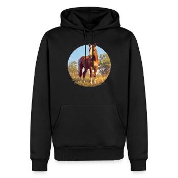 Pferde Pferd - Männer Premium Bio Hoodie - Schwarz - Vorne - Nico (187cm)