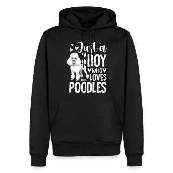 Just A Boy Who Loves Poodles - Männer Premium Bio Hoodie - Schwarz - Vorne - Nico (187cm)